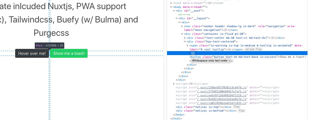 nuxtjs-bug.png